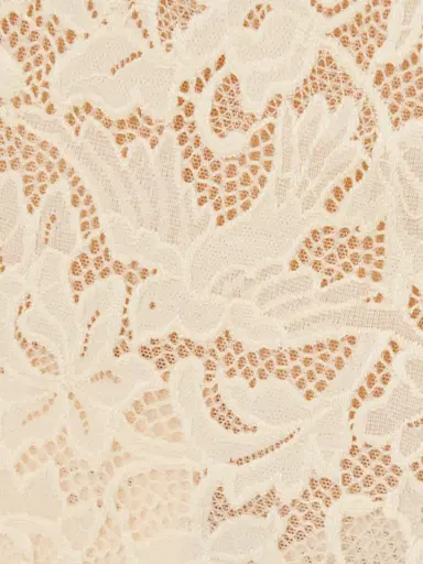 Zimmermann Corded Lace Bodysuit | Thumbnail 4