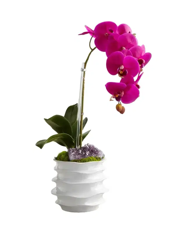 T & C Floral Company White Orchid in Contemporary Pot