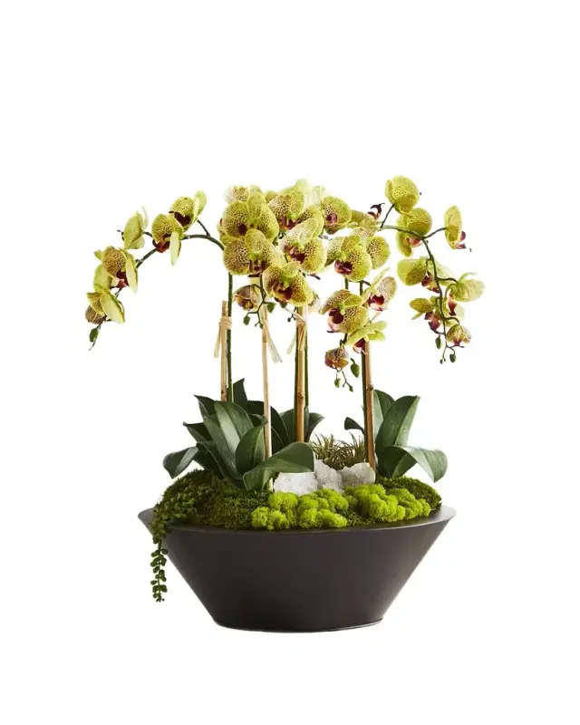 T & C Floral Company Orchids & Geode in Round Metal Container