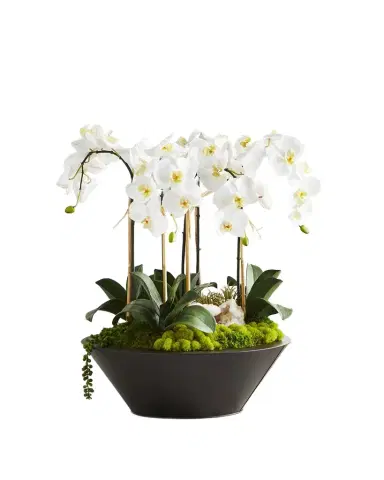 T & C Floral Company Orchids & Geode in Round Metal Container | Thumbnail 1