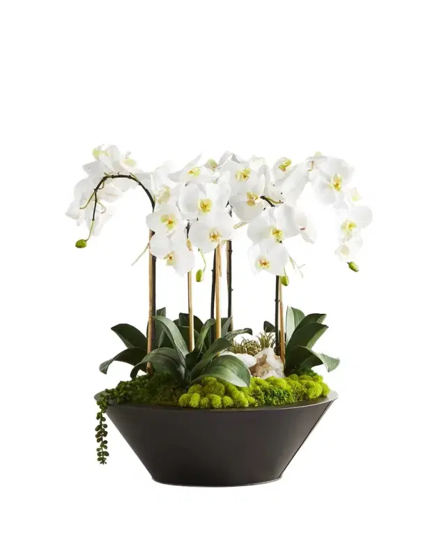 T & C Floral Company Orchids & Geode in Round Metal Container