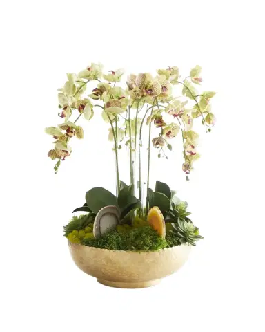T & C Floral Company Orchid Faux Florals in Gold Hammered Metal Bowl with Selenite & Agate Slabs - 24" | Thumbnail 1 T & C Floral Company Orchid Faux Florals in Gold Hammered Metal Bowl with Selenite & Agate Slabs - 24" | Thumbnail 1