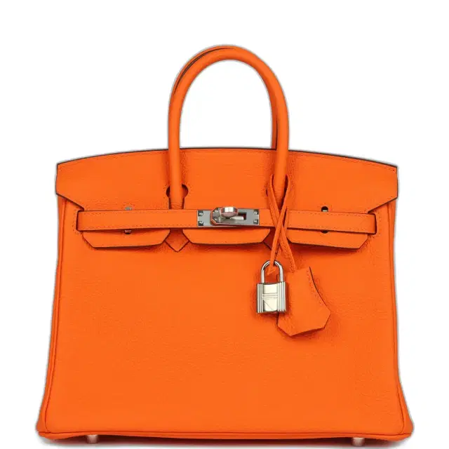 hermes Hermes Birkin 25 Orange Minium Togo Palladium Hardware