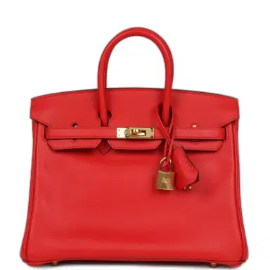 HERMÈS Hermes Birkin 25 Rouge De Coeur Jonathan Gold Hardware | Thumbnail 1 HERMÈS Hermes Birkin 25 Rouge De Coeur Jonathan Gold Hardware | Thumbnail 1