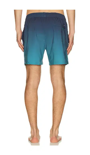 Vintage Summer Performance Stretch Lined Volleys | Thumbnail 2 Vintage Summer Performance Stretch Lined Volleys | Thumbnail 2