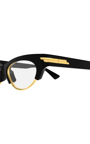 Bottega Veneta Cat-Eye Acetate Glasses | Thumbnail 4