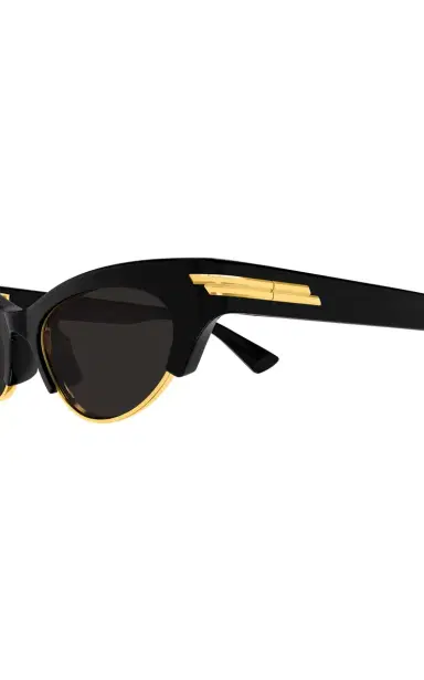 Bottega Veneta Cat-Eye Acetate Sunglasses | Thumbnail 4