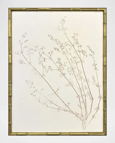Paragon Decors "Floral Trace III" Framed Giclees | Thumbnail 2 Paragon Decors "Floral Trace III" Framed Giclees | Thumbnail 2