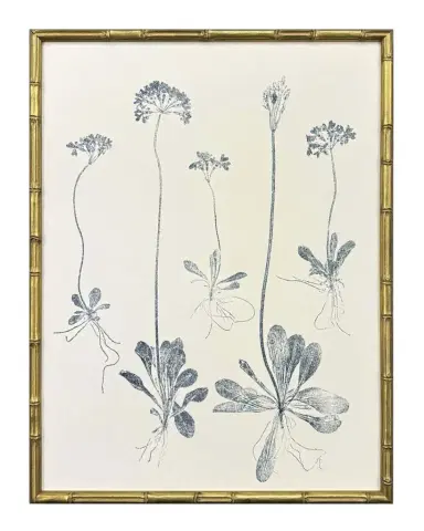 Paragon Decors "Floral Trace III" Framed Giclees | Thumbnail 1 Paragon Decors "Floral Trace III" Framed Giclees | Thumbnail 1