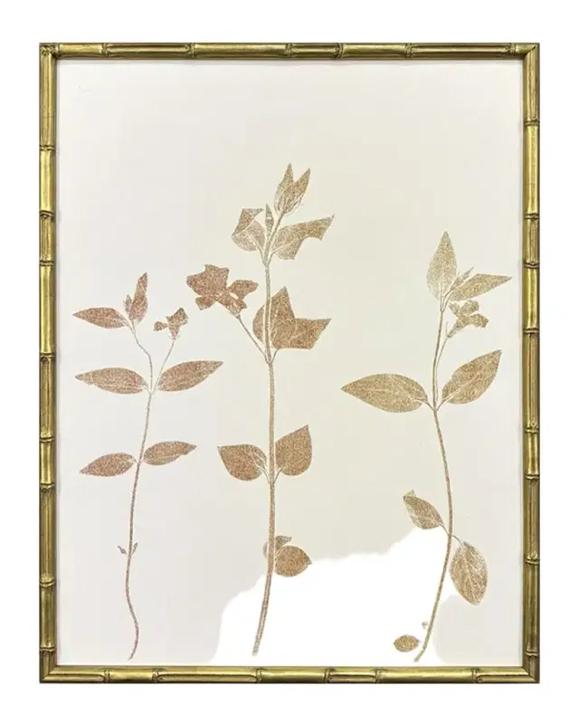 Paragon Decors "Floral Trace I" Framed Giclees