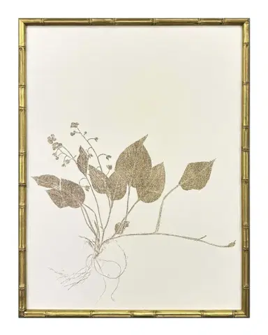 Paragon Decors "Floral Trace II" Framed Giclees | Thumbnail 1 Paragon Decors "Floral Trace II" Framed Giclees | Thumbnail 1
