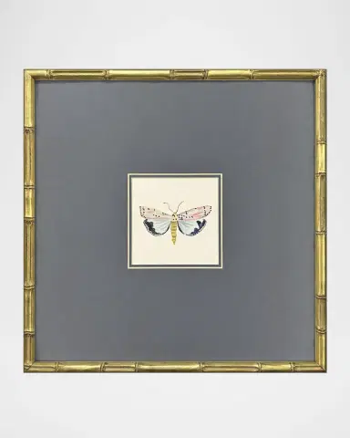 Paragon Decors "Pastel Moths I" Framed Giclees by Farida Zaman | Thumbnail 2