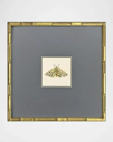 Paragon Decors "Pastel Moths I" Framed Giclees by Farida Zaman | Thumbnail 3