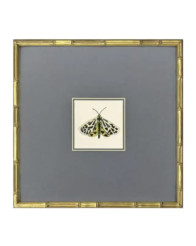 Paragon Decors "Pastel Moths I" Framed Giclees by Farida Zaman