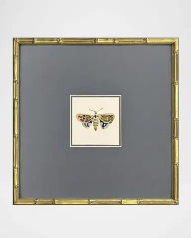 Paragon Decors "Pastel Moths II" Framed Giclees by Farida Zaman | Thumbnail 2