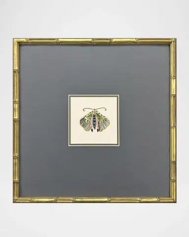Paragon Decors "Pastel Moths II" Framed Giclees by Farida Zaman | Thumbnail 3