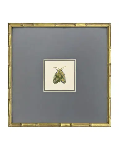 Paragon Decors "Pastel Moths II" Framed Giclees by Farida Zaman | Thumbnail 1
