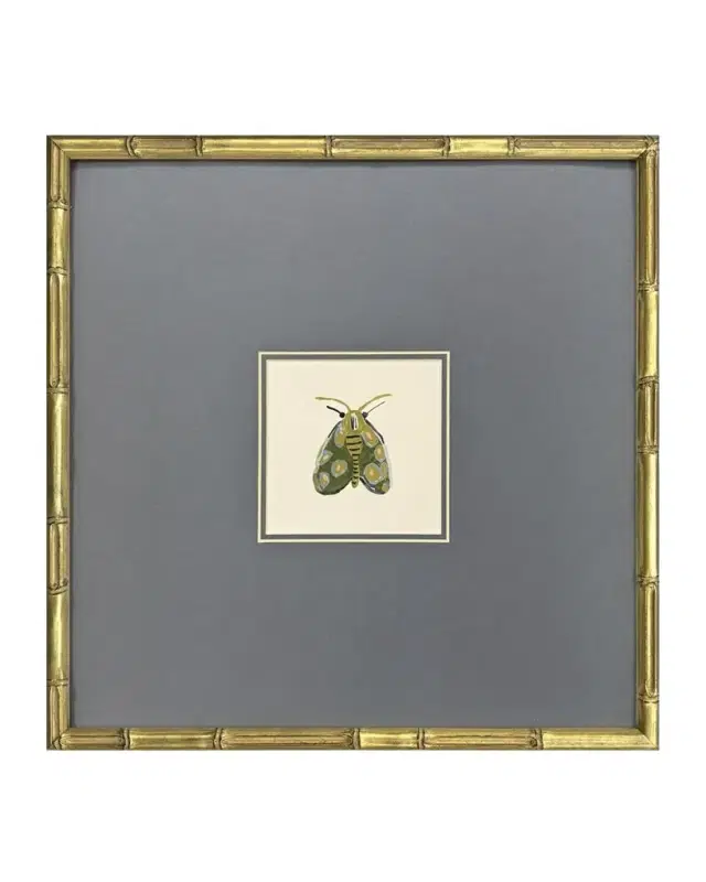 Paragon Decors "Pastel Moths II" Framed Giclees by Farida Zaman