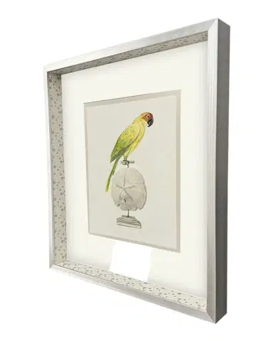 Paragon Decors "Treasure Parrot III" Hand-Embellished Giclee by PopJoy Studio | Thumbnail 1