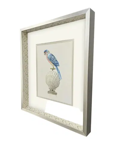 Paragon Decors "Treasure Parrot IV" Hand-Embellished Giclee by PopJoy Studio | Thumbnail 1 Paragon Decors "Treasure Parrot IV" Hand-Embellished Giclee by PopJoy Studio | Thumbnail 1