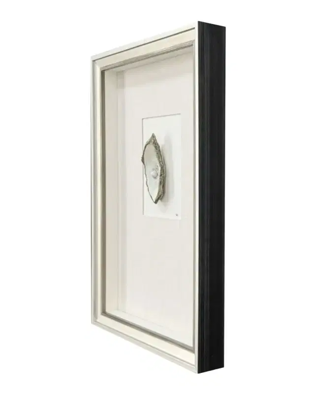 Paragon Decors "Oyster in Paradise I" Mixed-Media Wall Art