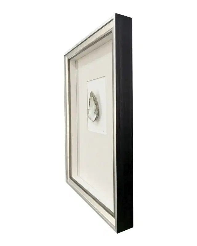 Paragon Decors "Oyster in Paradise III" Mixed-Media Wall Art