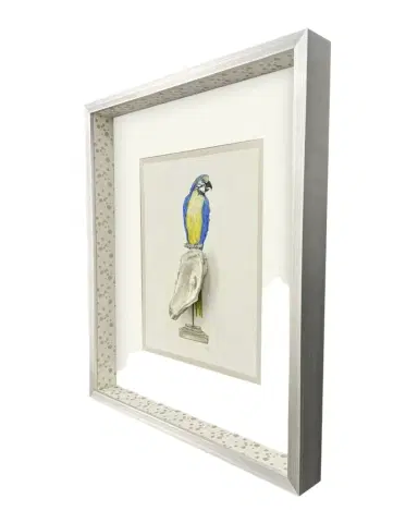 Paragon Decors "Treasure Parrot I" Hand-Embellished Giclee by PopJoy Studio | Thumbnail 1 Paragon Decors "Treasure Parrot I" Hand-Embellished Giclee by PopJoy Studio | Thumbnail 1