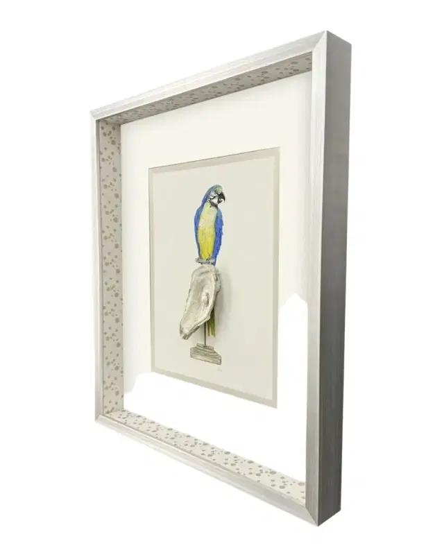 Paragon Decors "Treasure Parrot I" Hand-Embellished Giclee by PopJoy Studio