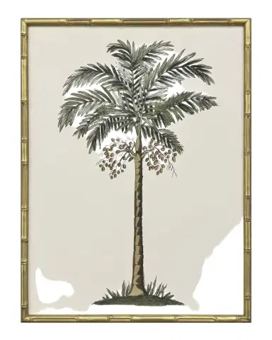 Paragon Decors "Contemporary Palm II" Framed Giclees | Thumbnail 1 Paragon Decors "Contemporary Palm II" Framed Giclees | Thumbnail 1