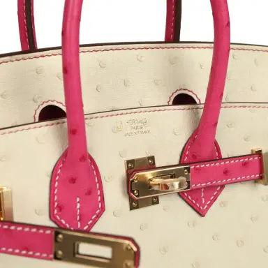HERMÈS Hermes Special Order (HSS) Birkin 25 Rose Tyrien and Beton Ostrich Permabrass Hardware | Thumbnail 7
