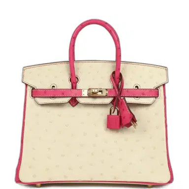 HERMÈS Hermes Special Order (HSS) Birkin 25 Rose Tyrien and Beton Ostrich Permabrass Hardware | Thumbnail 1