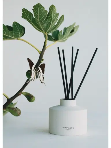 Jo Malone London Fresh Fig & Cassis Reed Diffuser | Thumbnail 3 Jo Malone London Fresh Fig & Cassis Reed Diffuser | Thumbnail 3