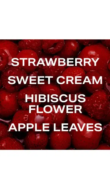 PHLUR Berry Cream Hair And Body Mist 8oz | Thumbnail 2