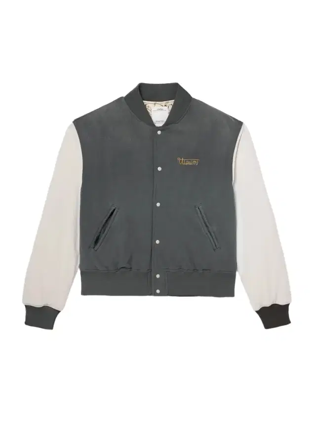 Varsity Era Embroidered Padded Cotton Down Jacket - Men