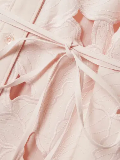 Erdem Cutout Embroidered Poplin Midi Dress | Thumbnail 4 Erdem Cutout Embroidered Poplin Midi Dress | Thumbnail 4
