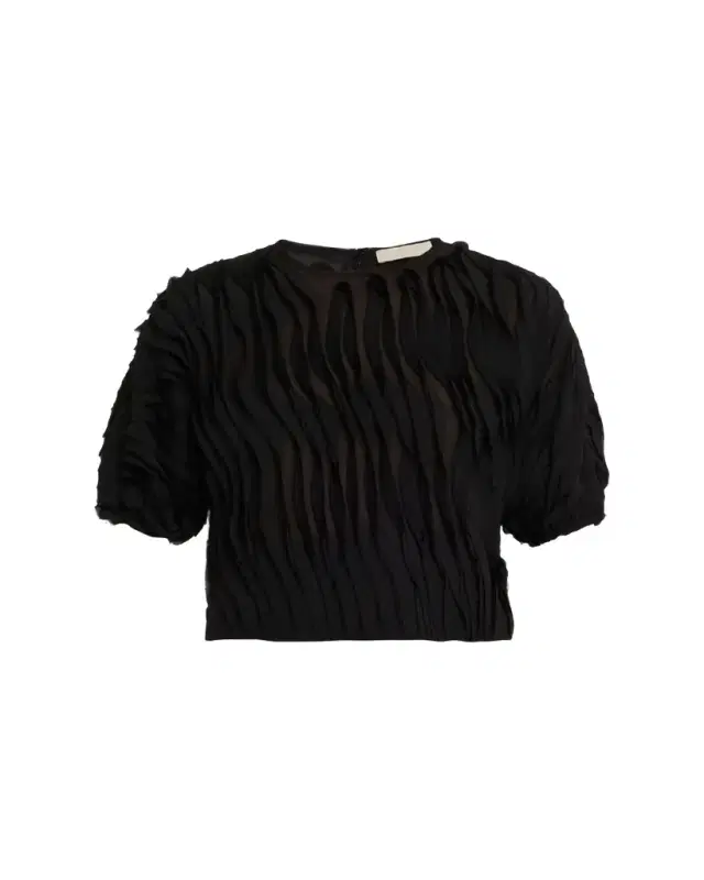 Vayda Semi-Sheer Ruffle Top