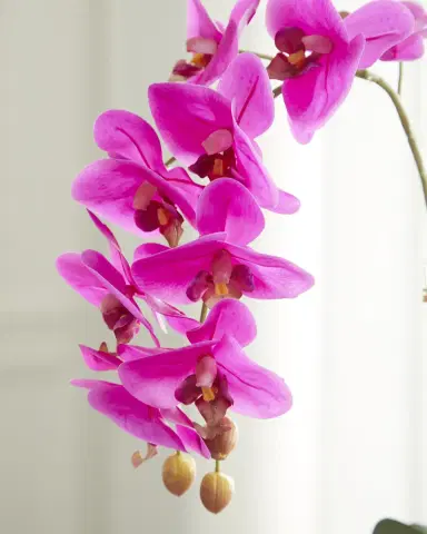 T & C Floral Company Double Orchid Faux Floral in Gold-Rimmed Ceramic Container - 22" | Thumbnail 2 T & C Floral Company Double Orchid Faux Floral in Gold-Rimmed Ceramic Container - 22" | Thumbnail 2