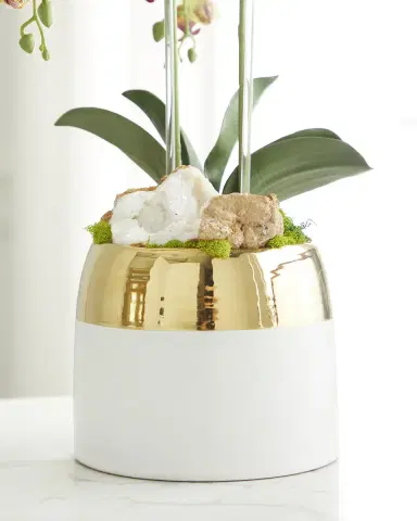 T & C Floral Company Double Orchid Faux Floral in Gold-Rimmed Ceramic Container - 22" | Thumbnail 3 T & C Floral Company Double Orchid Faux Floral in Gold-Rimmed Ceramic Container - 22" | Thumbnail 3