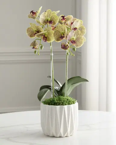 T & C Floral Company Double Orchid 20" Faux Floral Arrangement in Geometric Pot | Thumbnail 2