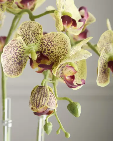 T & C Floral Company Double Orchid 20" Faux Floral Arrangement in Geometric Pot | Thumbnail 4