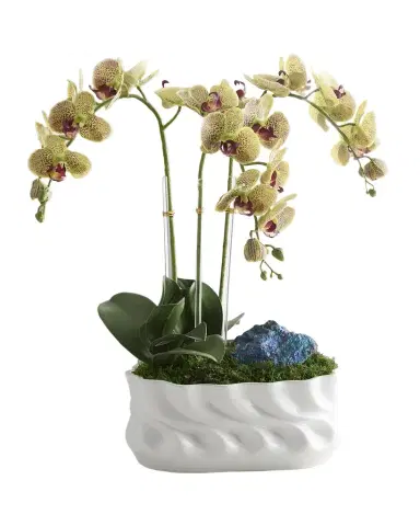 T & C Floral Company Triple Orchids with Peacock Ore 23" Faux Floral Arrangement in Ripple Vase | Thumbnail 1