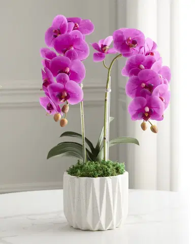T & C Floral Company Double Orchid 20" Faux Floral Arrangement in Geometric Pot | Thumbnail 2