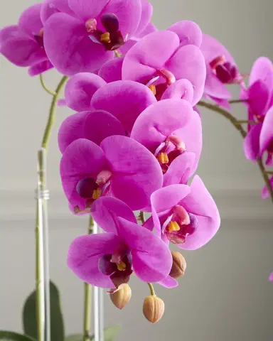 T & C Floral Company Double Orchid 20" Faux Floral Arrangement in Geometric Pot | Thumbnail 4