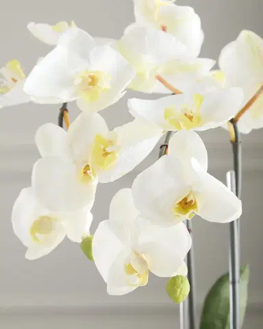 T & C Floral Company Double Orchid 20" Faux Floral Arrangement in Geometric Pot | Thumbnail 4