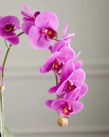 T & C Floral Company Triple Orchids with Peacock Ore 23" Faux Floral Arrangement in Ripple Vase | Thumbnail 4