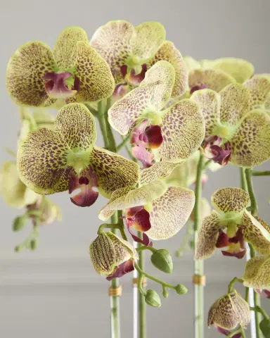 T & C Floral Company Orchids with Quartz 24" Faux Floral Arrangement in Metal Bowl | Thumbnail 5