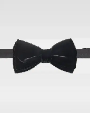 Versace Men's Solid Velvet Bow Tie | Thumbnail 2