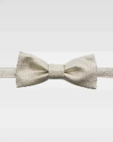 Versace Men's Viscose Blend Bow Tie | Thumbnail 2