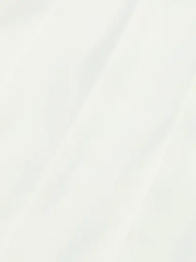 L'Agence Women's Naamah Pleated Shorts - Ivory - Size 18 | Thumbnail 7 L'Agence Women's Naamah Pleated Shorts - Ivory - Size 18 | Thumbnail 7