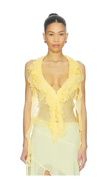 Lovers and Friends Ila Sheer Top | Thumbnail 1